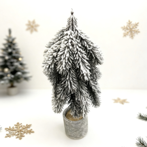 Snow cedar packed in a cement pot
